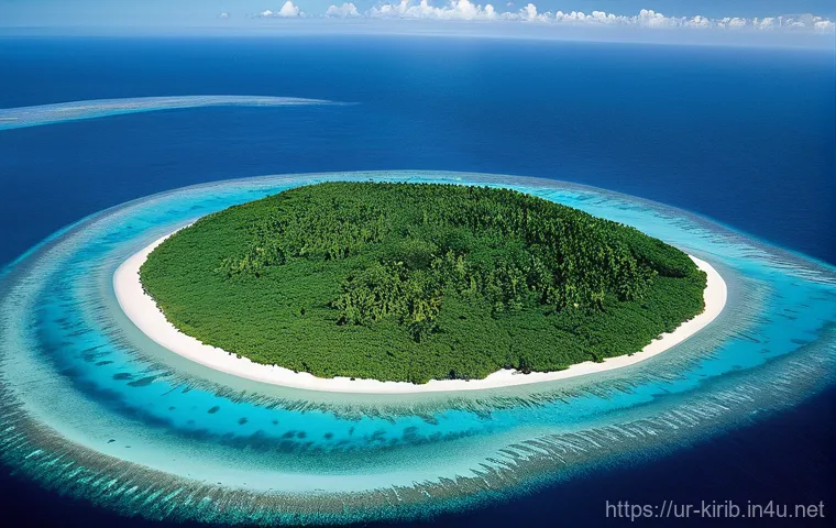 키리바시 해양 보호구역 - **"A heartwarming portrayal of local Kiribati islanders engaged in their traditional, sustainable re...